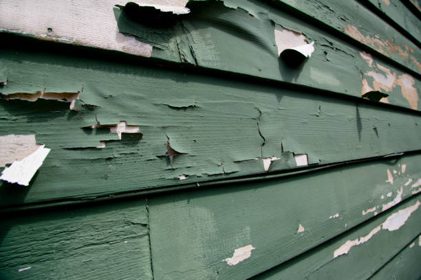Best Engineered Wood Siding  in Lapeer, MI