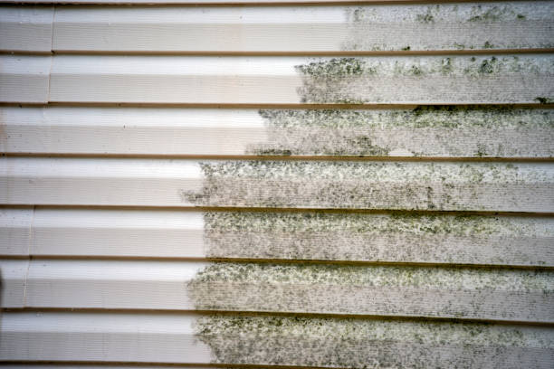 Affordable siding repair and maintenance services in Lapeer, MI