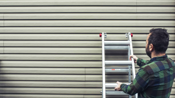 Best Stone Veneer Siding  in Lapeer, MI